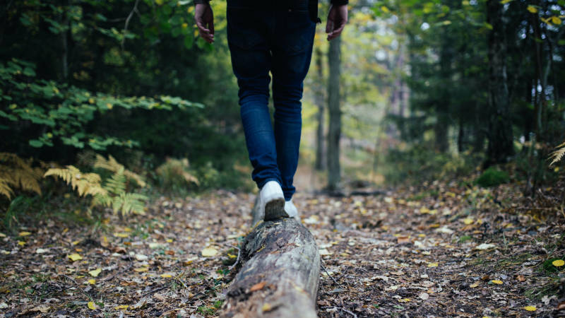 Eine Person, die auf einem Baumstamm im Wald balanciert.